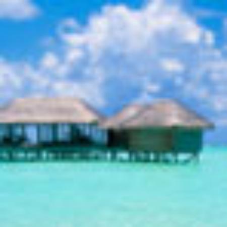 Madhura Biryani House